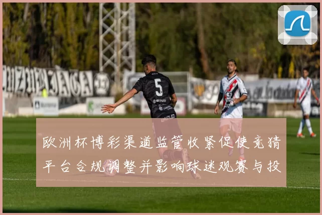 欧洲杯博彩渠道监管收紧促使竞猜平台合规调整并影响球迷观赛与投注习惯