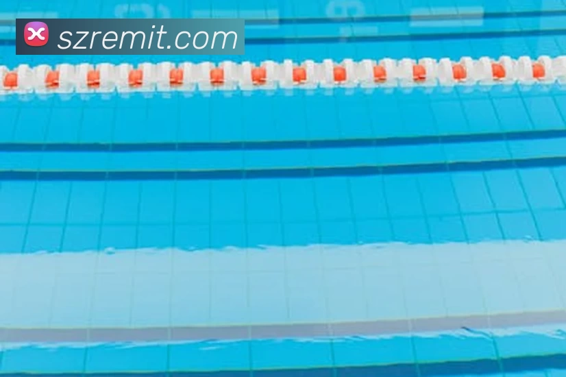 世界杯前瞻：msports世界杯版苹果聚焦热门球队冲击冠军